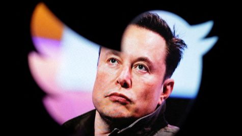 Elon Musk has Taken over Twitter