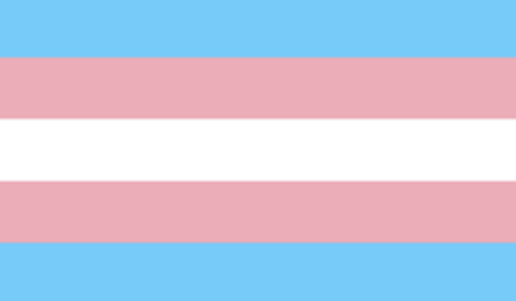 Transgender Flag. Credit: pointofpride.org.